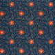 22732/007