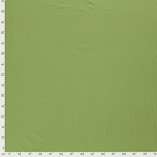 Jersey fabric Unicolour Apple Green