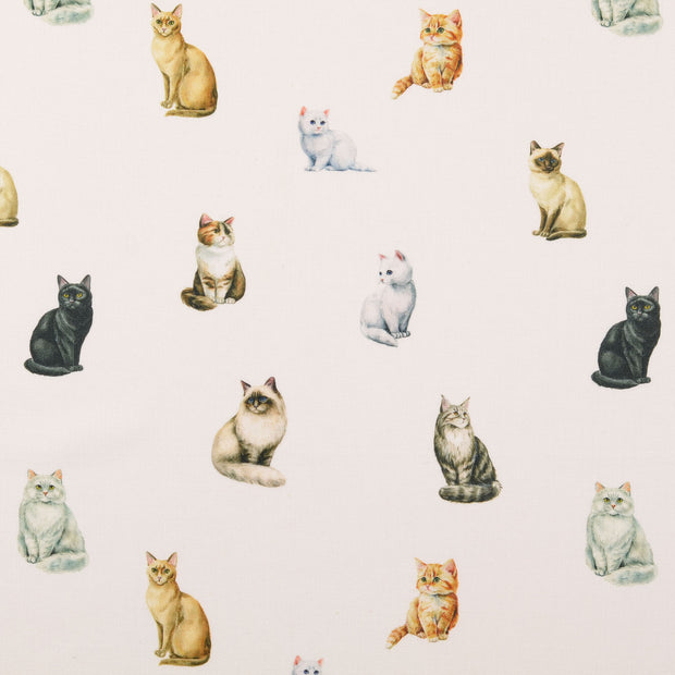Cretonne fabric Cats White