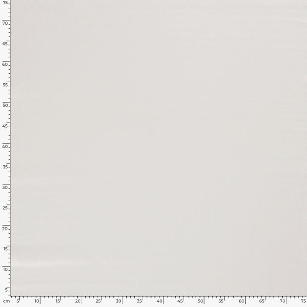 Viscose Lin Chaine et Trame tissu Unicolore Blanc cassé