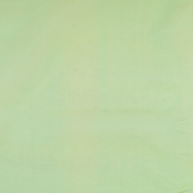 Organza fabric Apple Green 