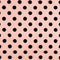60955/050