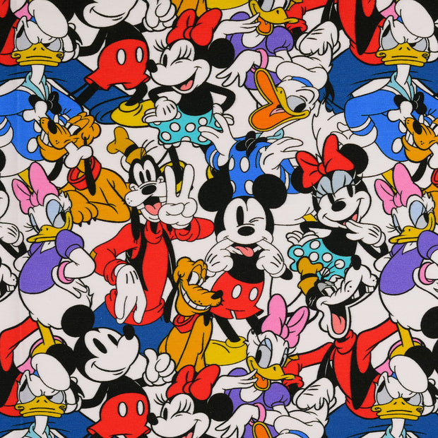 Jersey fabric Multicolor 