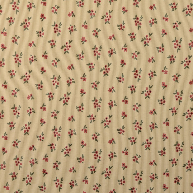 Rib Jersey fabrik Blumen Beige