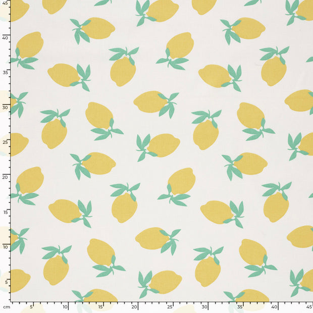 Cotton Poplin fabric Fruits Off White