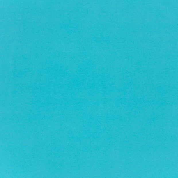 Viscose Jersey fabric Baby Blue 