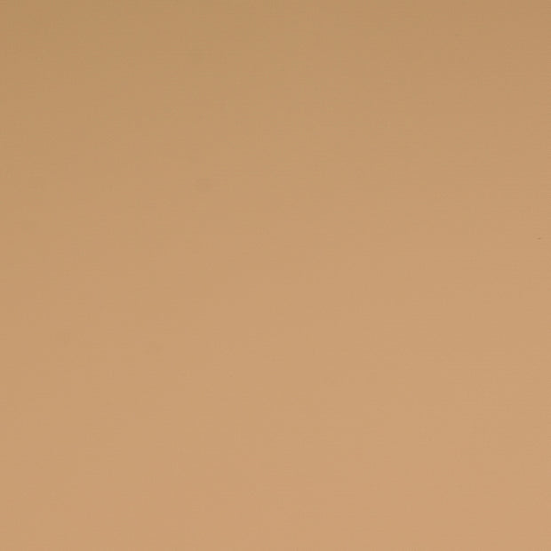  fabric Unicolour Beige