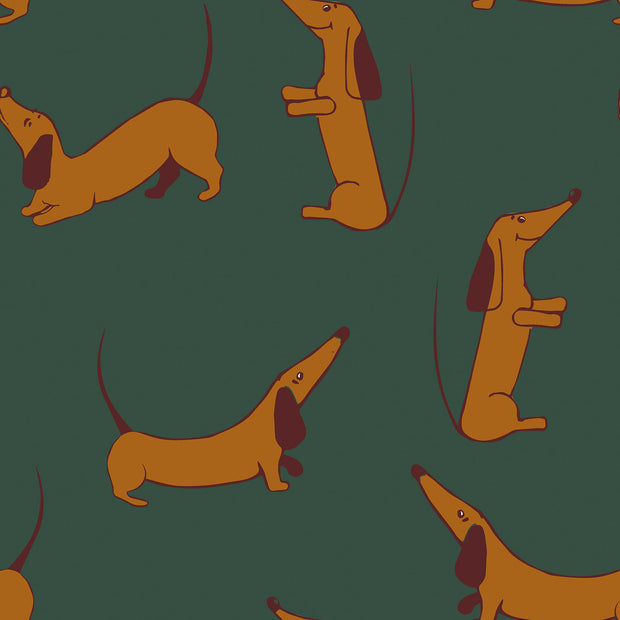 Softshell fabric Dinosaurs Dark Green