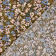 26037/055