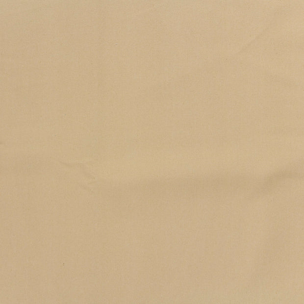 Canvas fabric Beige 