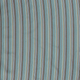 20310/009