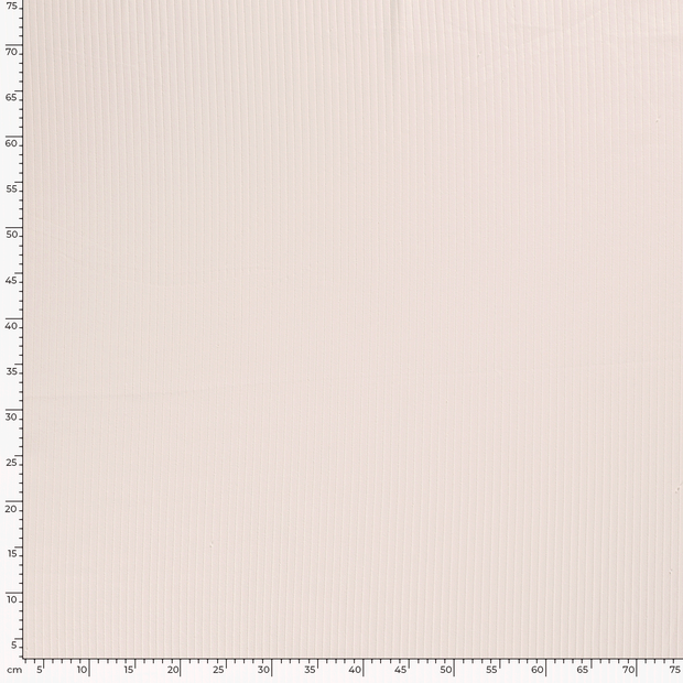 Rib Jersey fabric Unicolour Ivory