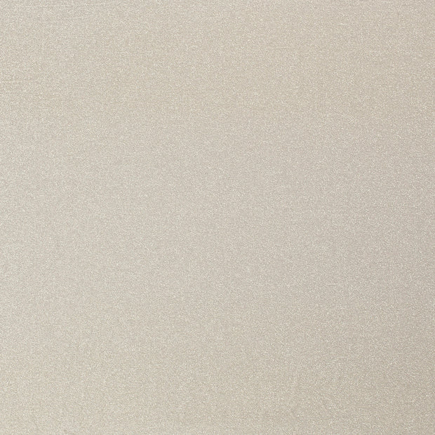 Lamé tissu Gris clair scintillant 