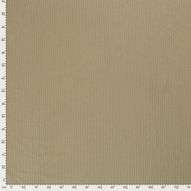 Rib Jersey fabric Unicolour Olive Green