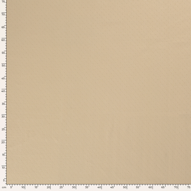 Pinpoint fabric Unicolour Beige