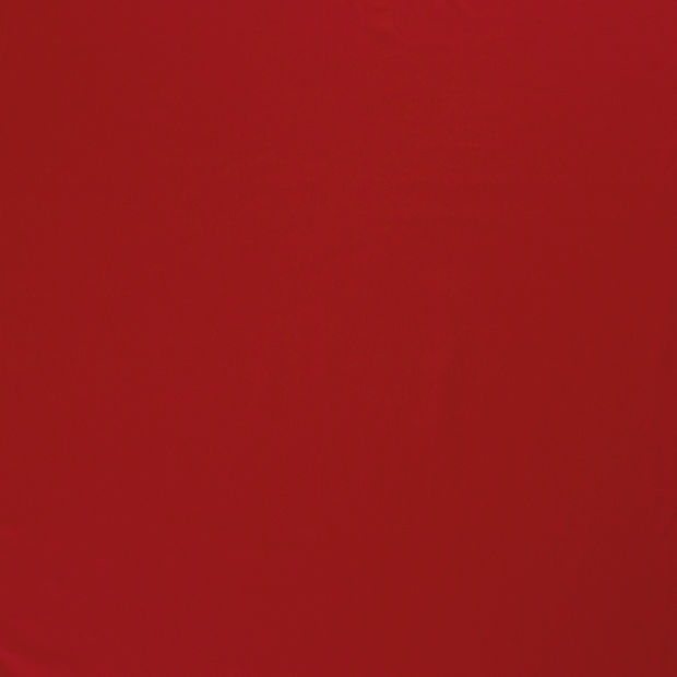 Jersey fabric Red 