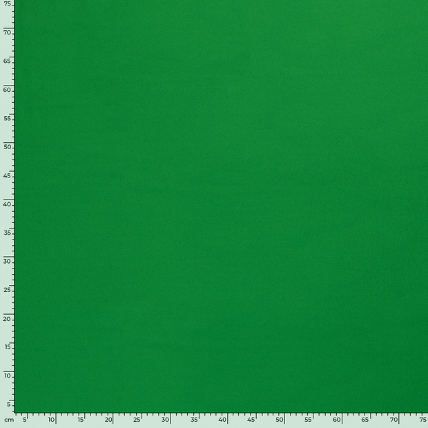 Sportswear Jersey fabric Unicolour Green