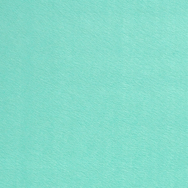 Felt fabric Unicolour Mint