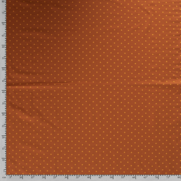 Jersey fabric Stars printed 