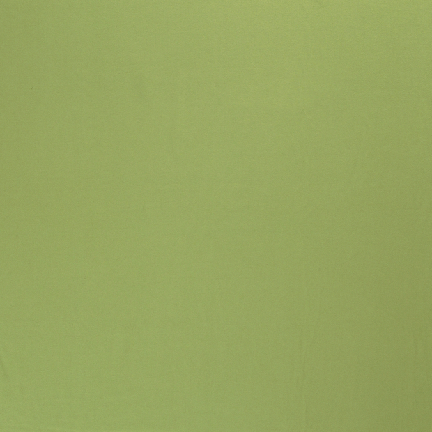 Jersey fabric Apple Green 