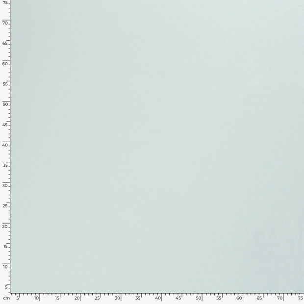 Jersey fabric Unicolour Ice Mint