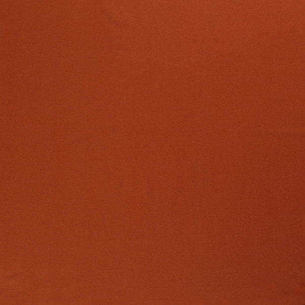 Jersey fabric Brique 