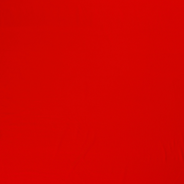 Sportswear Jersey fabric Red silk matte 