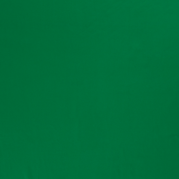 Jersey fabric Green 