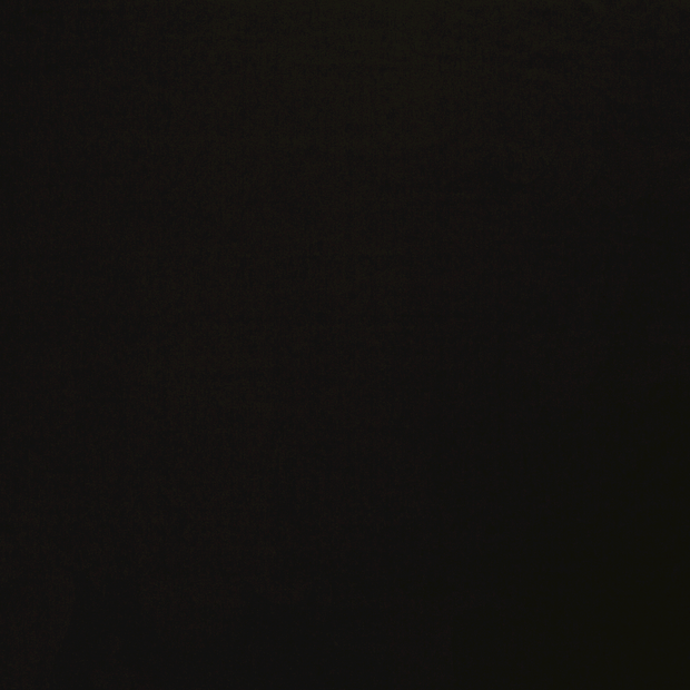 Jersey fabric Dark Brown 