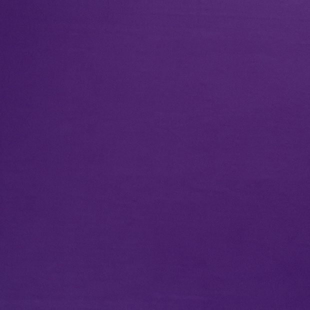 Sportswear Jersey fabric Purple silk matte 