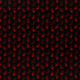 20854/069