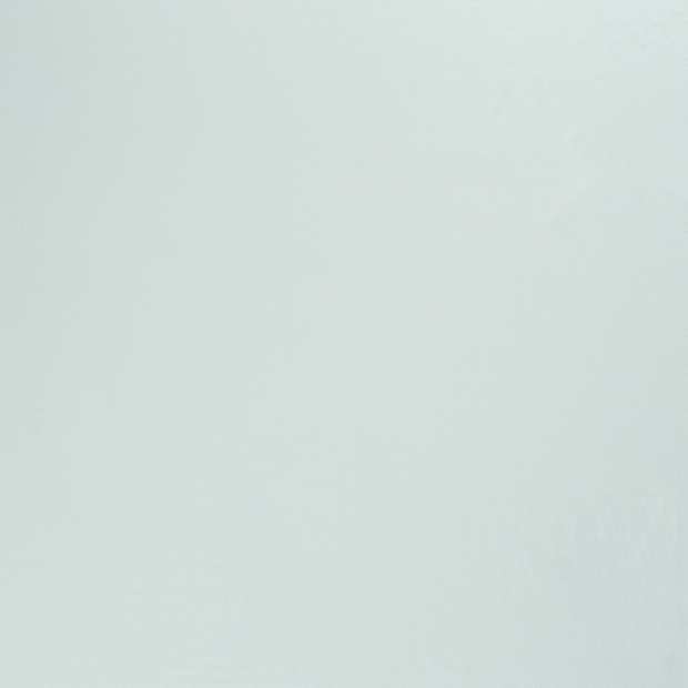 Jersey fabric Ice Mint 