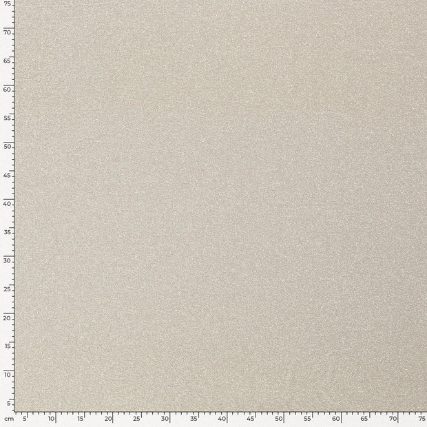 Lamé tissu Unicolore Gris clair
