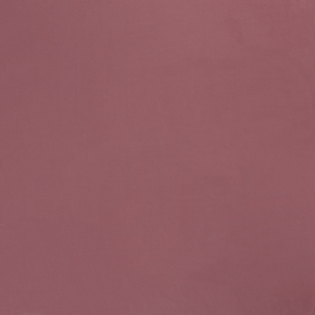 Jersey fabric Watermelon 