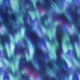 20257/021