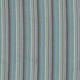 20310/009