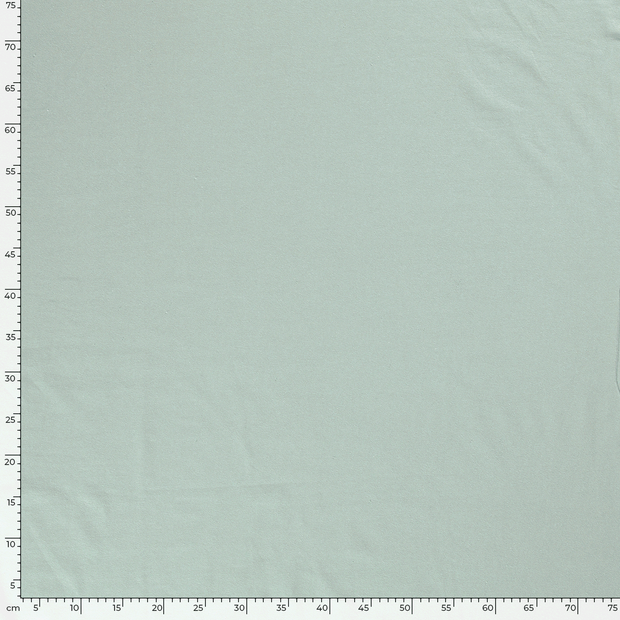 Jersey fabric Unicolour Ice Blue