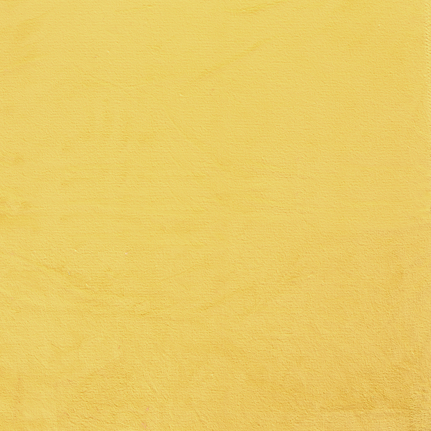 Coral Fleece fabric Yellow soft 