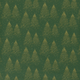 20705/025