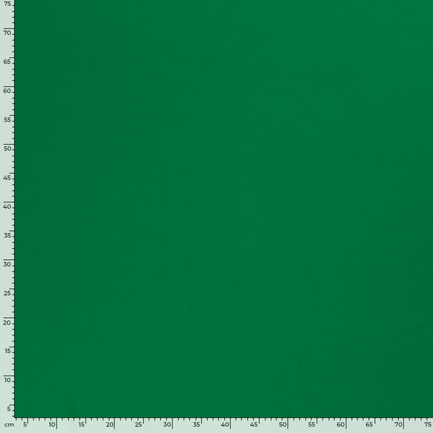 Jersey fabric Unicolour Green