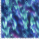 20257/021