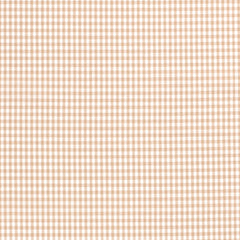 Cotton Poplin yarn dyed Checks Camel