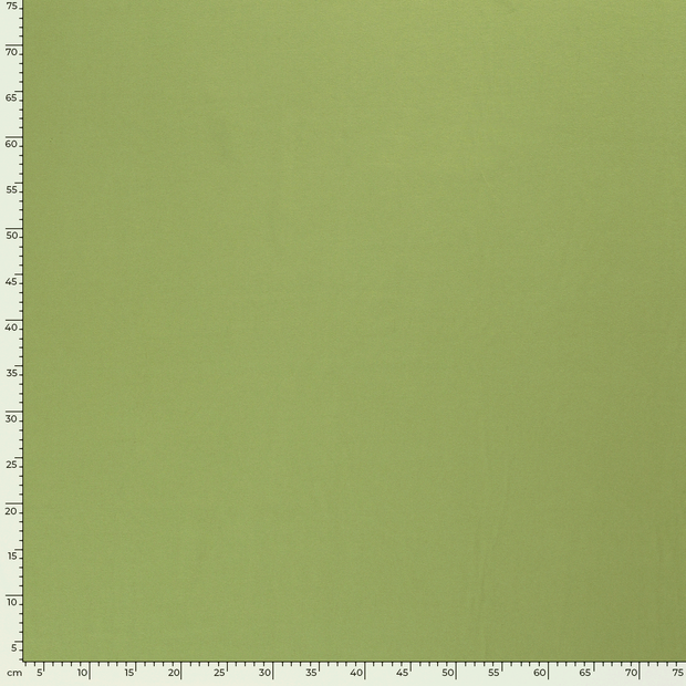 Jersey fabric Unicolour Apple Green
